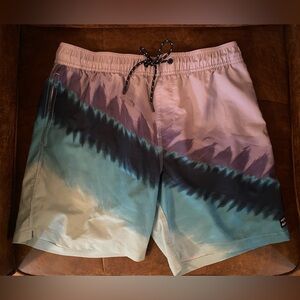 Billabong Men's Blue and Purple Swim Shorts